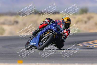 media/Nov-11-2023-SoCal Trackdays (Sat) [[efd63766ff]]/Turn 16 (11am)/